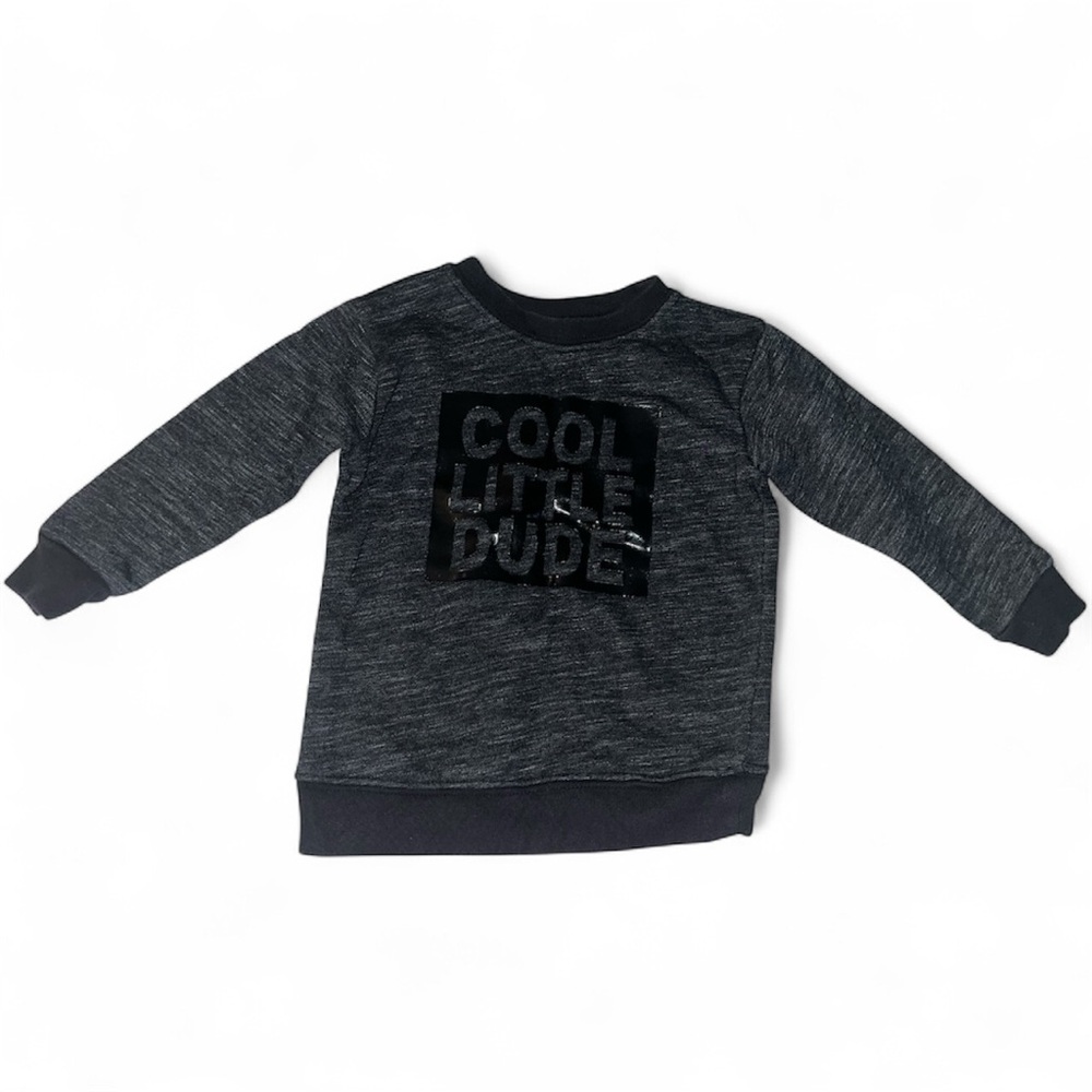Garnimals ‘Cool Little Dude’ Dark Grey Sweater SIZE: 2T  (VG)